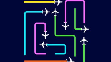 Plane Escape Puzzle